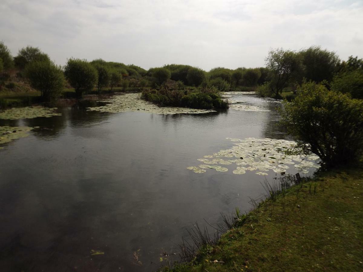 Marsh Water Ponds Fishery Villa Kidwelly Екстериор снимка