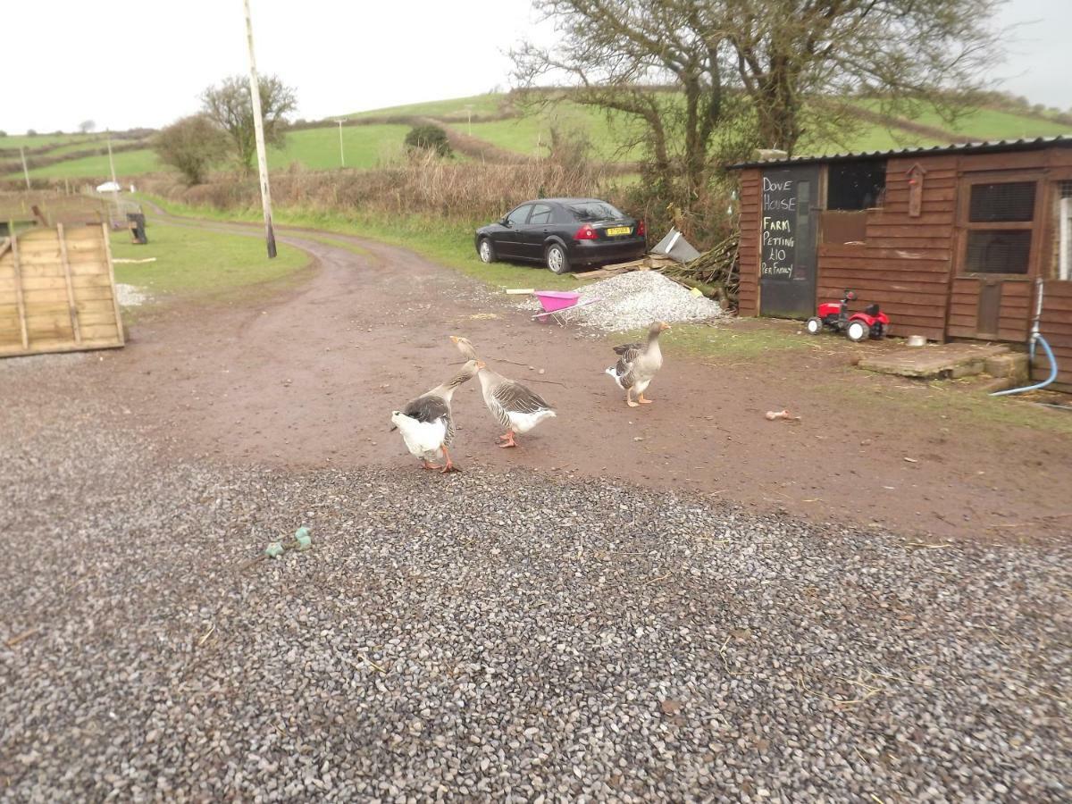 Marsh Water Ponds Fishery Villa Kidwelly Екстериор снимка