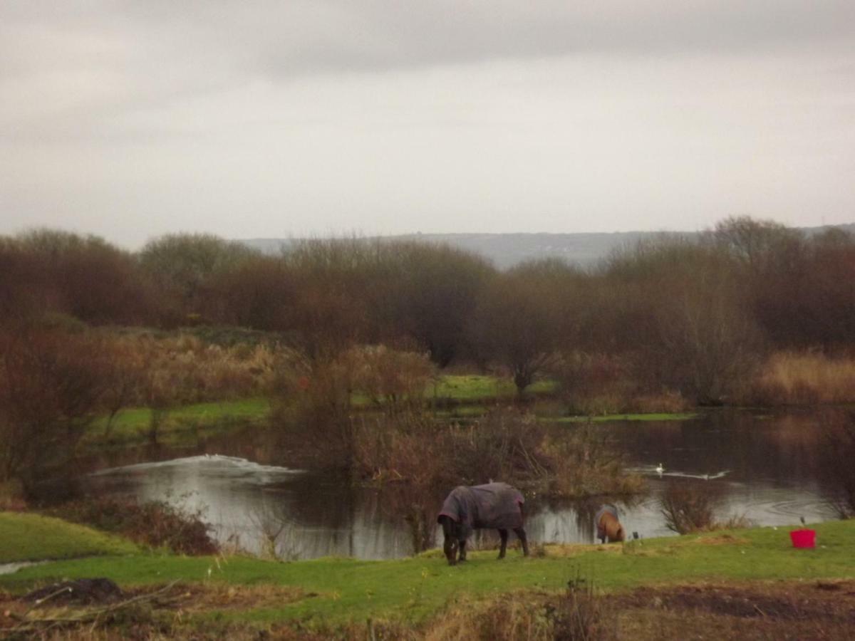 Marsh Water Ponds Fishery Villa Kidwelly Екстериор снимка