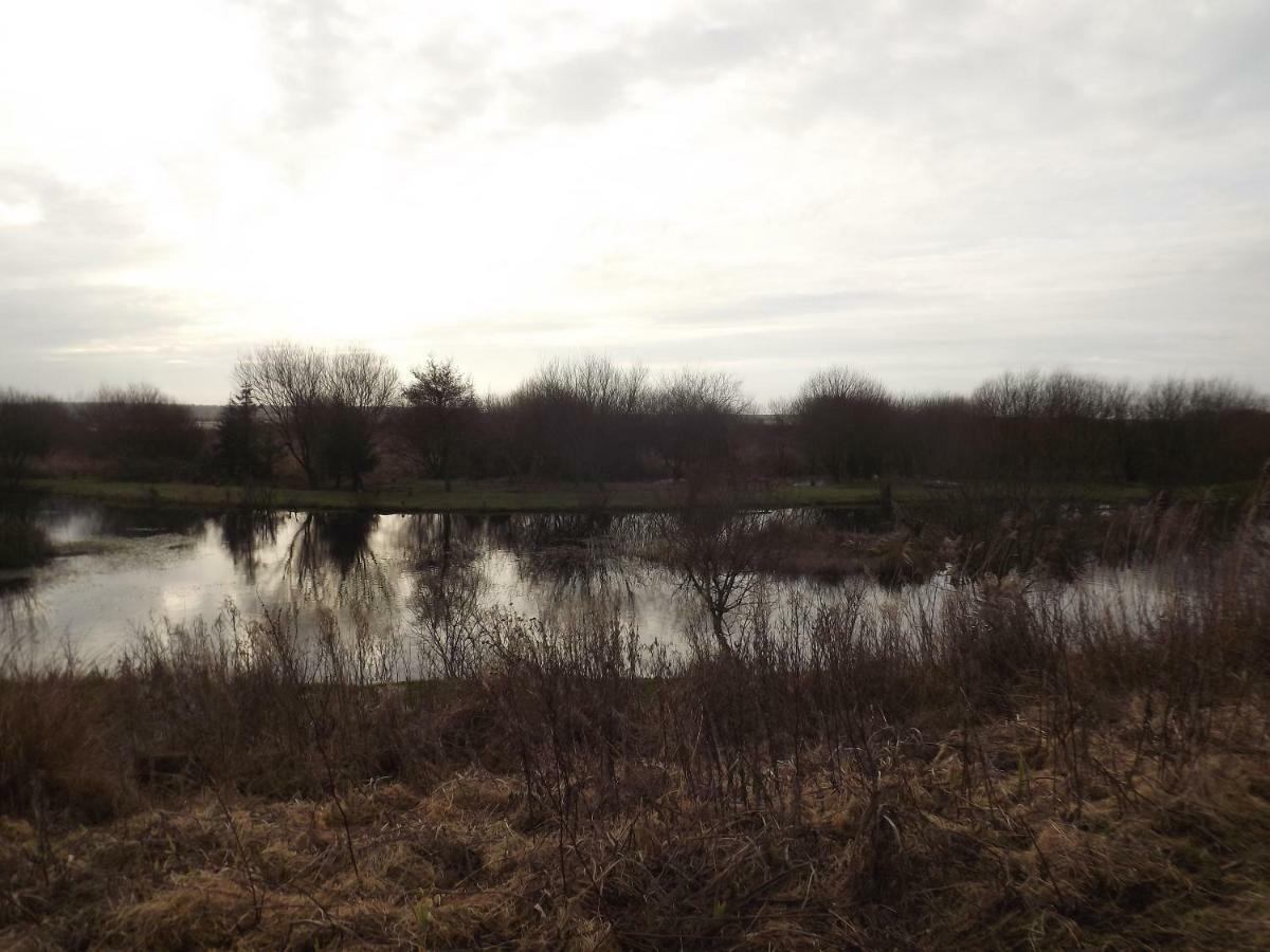 Marsh Water Ponds Fishery Villa Kidwelly Екстериор снимка