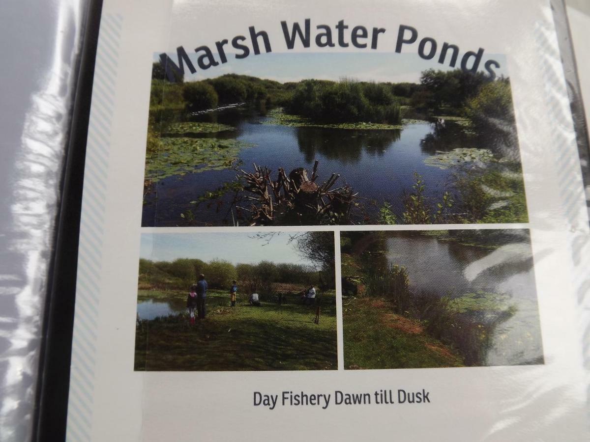 Marsh Water Ponds Fishery Villa Kidwelly Екстериор снимка
